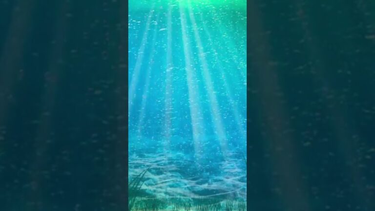 Scuba Diving In Thailand Price #facts #travel #visit #redditstories #visiting #vacation #shorts