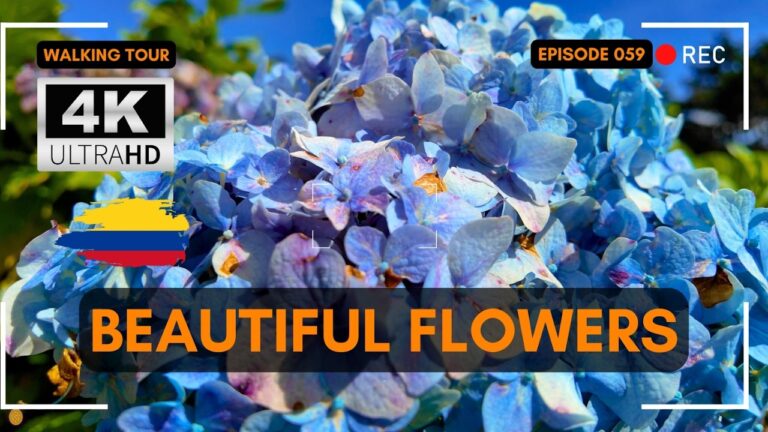 Parque Arvi, Artisanal Market, Flower Gardens 🇨🇴 Medellin Things to Do, Free Walking Tour