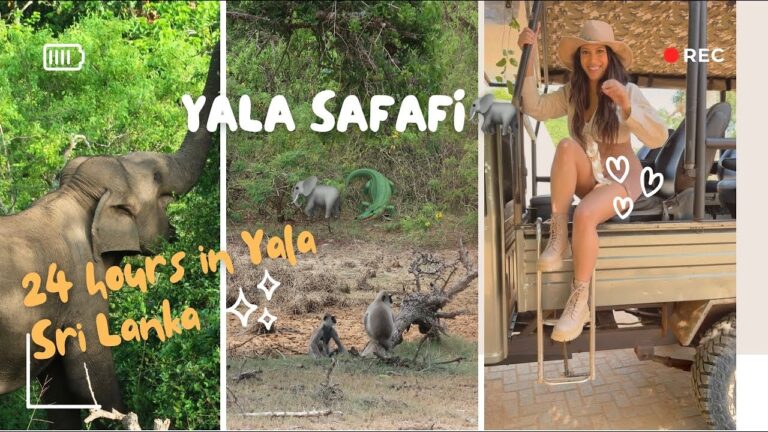 A Day in the Wild | My Stay at Jetwing Yala + First Safari! 🥰 🐘