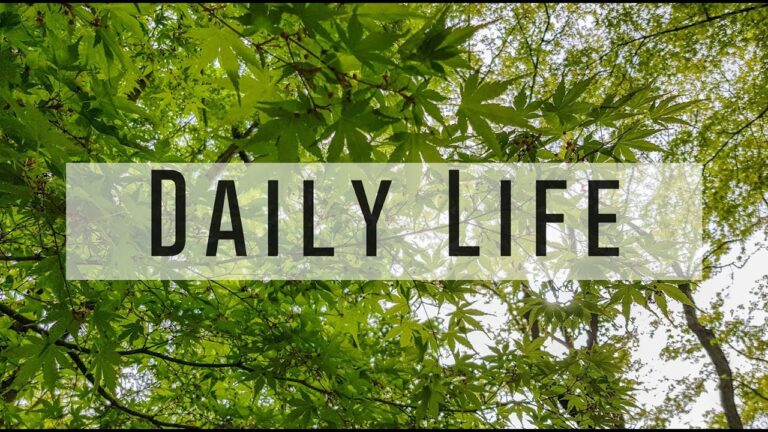 Daily Life in Germany 2.0