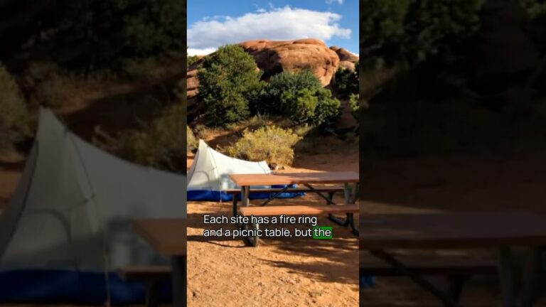 Mistake No. 4 to Avoid When Visiting Arches National Park #arches #usnationalparks #travelplanning