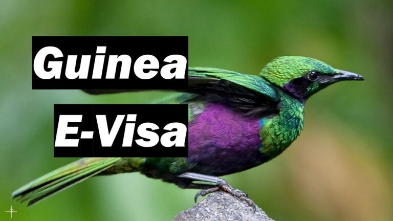 🇬🇳 How to complete the Guinea E-Visa Application
