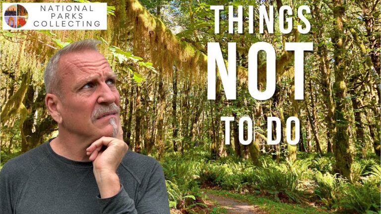 7 Things NOT to Do When Visiting Olympic National Park