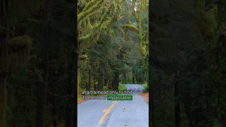 Tip No. 8 for Visiting Olympic National Park #OlympicNationalPark  #TravelTips #USNationalParks