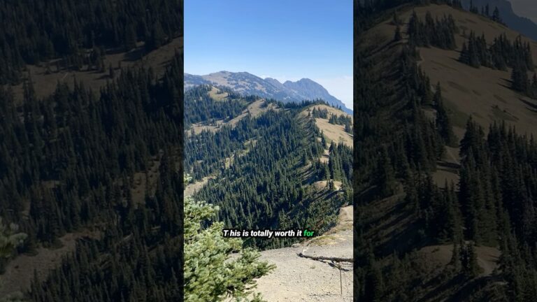 Best Hikes in Olympic National Park No. 2 #OlympicNationalPark #USNationalParks #hiking