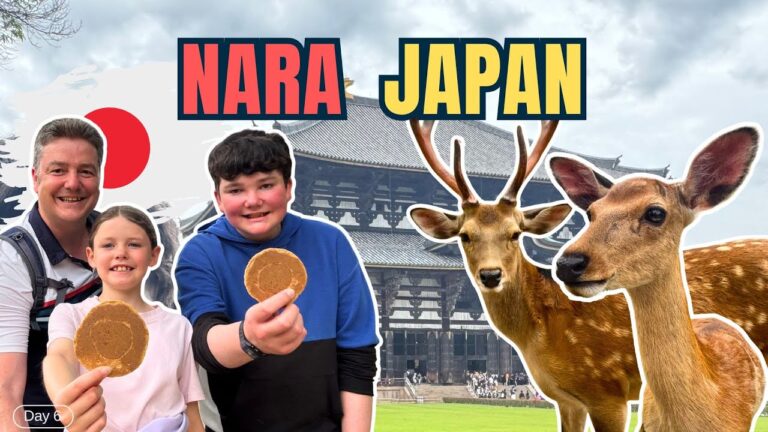 NARA JAPAN – A Very Unique place to FEED THE DEER by Hand