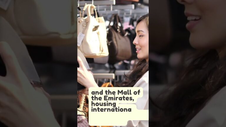 Dubai City Guide | This is Travel Guide To Dubai 2024