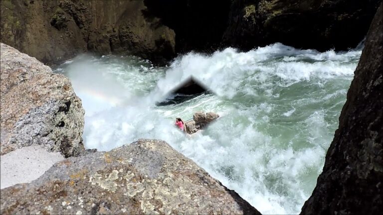 All short video's from Yellowstone