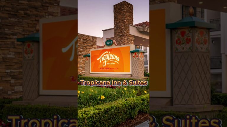 5 Disneyland Hotels That Feel Like Magic Without the Price!