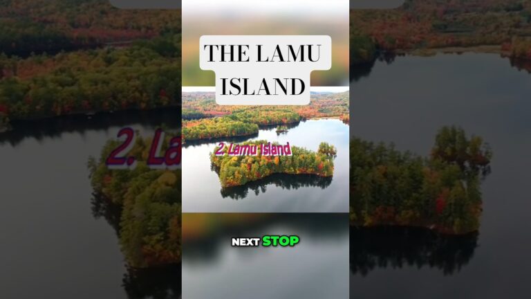 Lamu Island  Discovering Swahili Charm & Donkey Life#shorts #iammarwa #africa #wodemaya