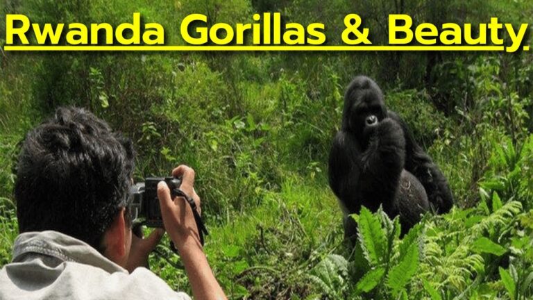 Why You Should Visit Rwanda – Gorillas, Mountains & More! – Travel Video