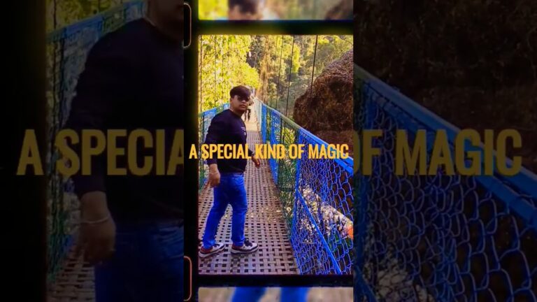 Jet to Jungle #northeasttour #travel #subscribe #viral #explorepage #fyp  #youtubeshorts #mustwatch