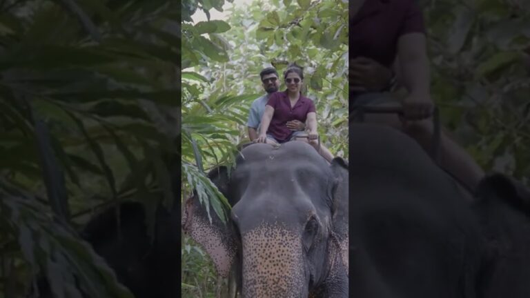 Luxury Thailand 2025 ✈️ 5-Star Resorts, Private Jets & VIP Tours (Trailer) #travel