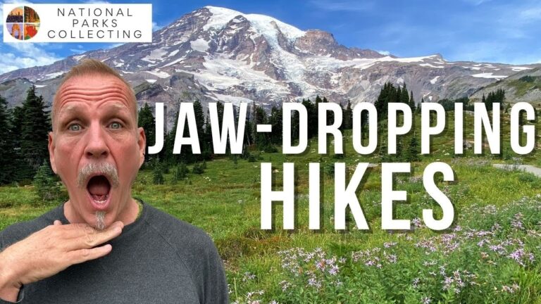 The 10 BEST HIKES in Mount Rainier National Park Not To Miss