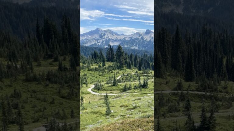 Tip to Visit Mount Rainier National Park No.6 #mtrainier #mountrainier #usnationalparks traveltips