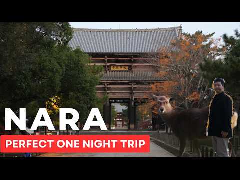 Perfect One Night in Nara – Discover Hidden Serenity & Beauty 【Trip to the Old Capital #1】