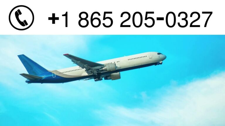 Expedia Customer Support: Phone, Chat, and Email Options Explained