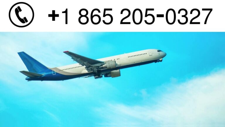 How to Get a Refund Using Expedia Customer Service