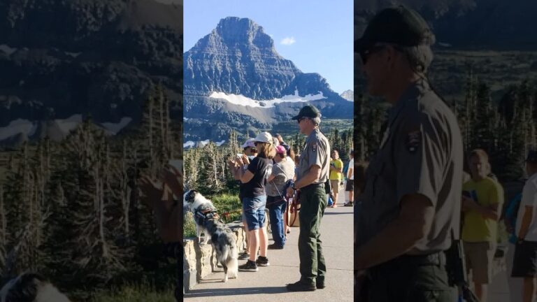 Best Things To Do in Glacier National Park for Non-Hikers No. 4 #glacier #glaciernationalpark