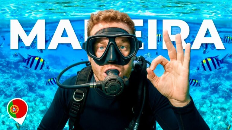 FIRST Scuba Dive in Madeira 🇵🇹 (Beginner's Guide!)