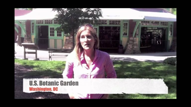 Expedia Kids in the City:  Elizabeth Thorp