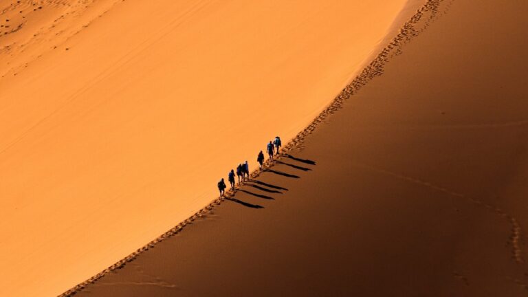 The Disturbing 1880 Sahara Desert Expedition