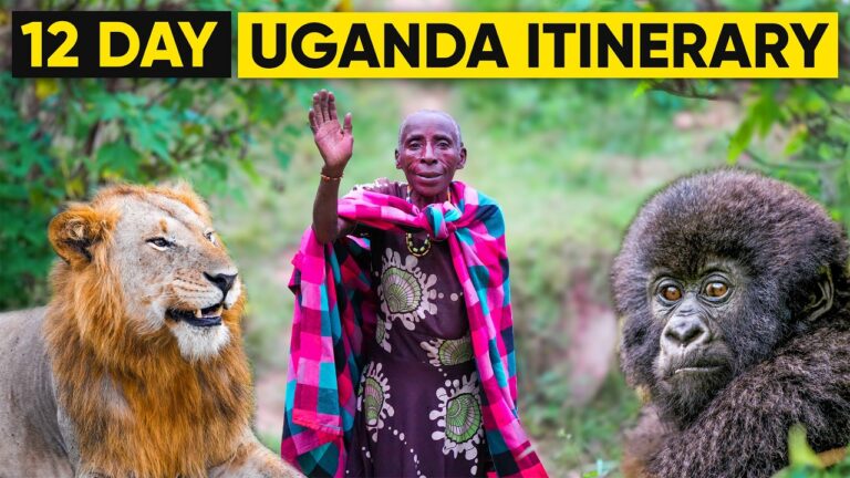Uganda Itinerary 2026: Your Best 12-Day Travel Guide
