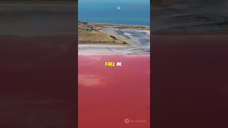 The Lake that Turns Animals to Stone – Lake Natron