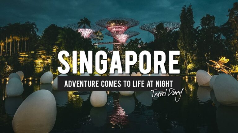 Amazing SINGAPORE at NIGHT